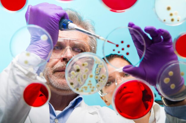 Scientists analysing petri dishes filled with colourful bacterial cultures in a laboratory setting